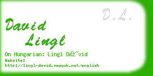 david lingl business card